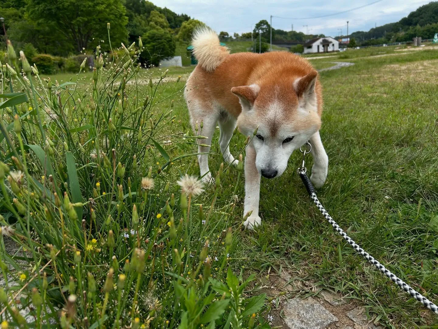 平素より当園をご利用頂きまして誠にありがとうございます🐾