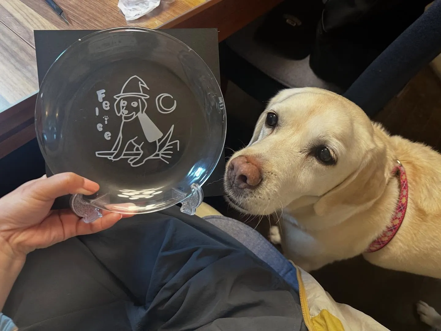 長野旅行レポその4です🌟