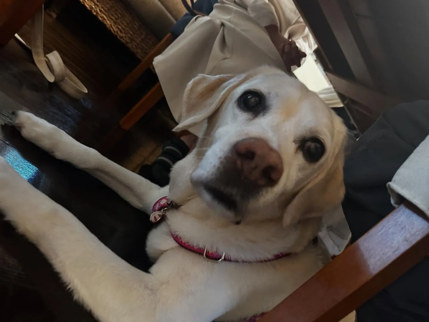 長野旅行レポその4です🌟