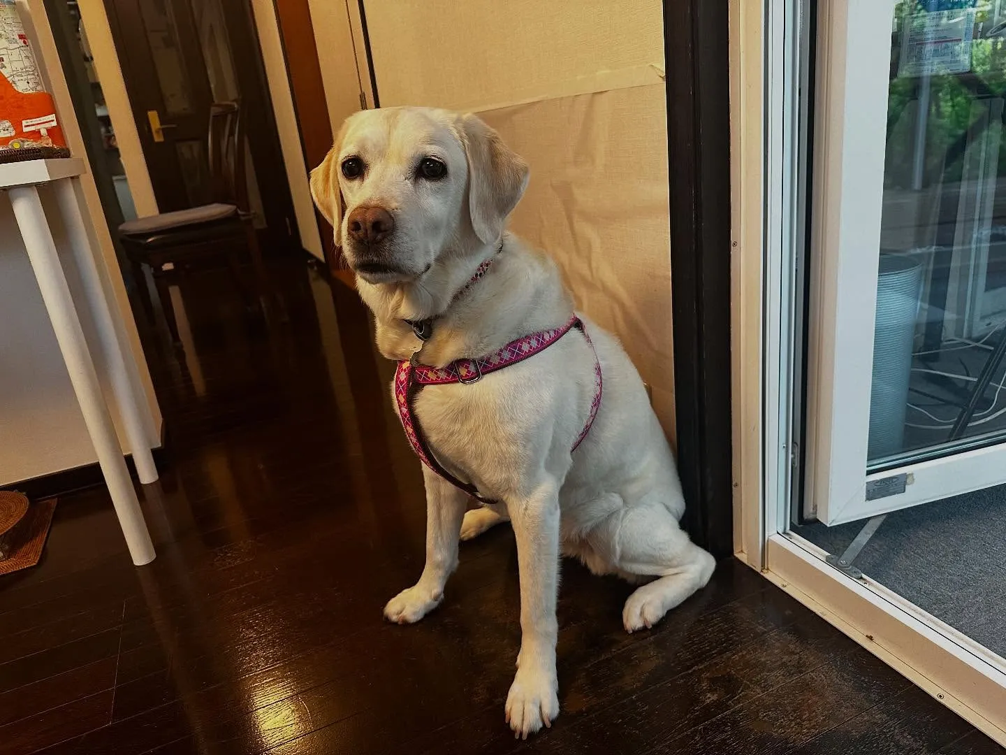 長野旅行レポその4です🌟