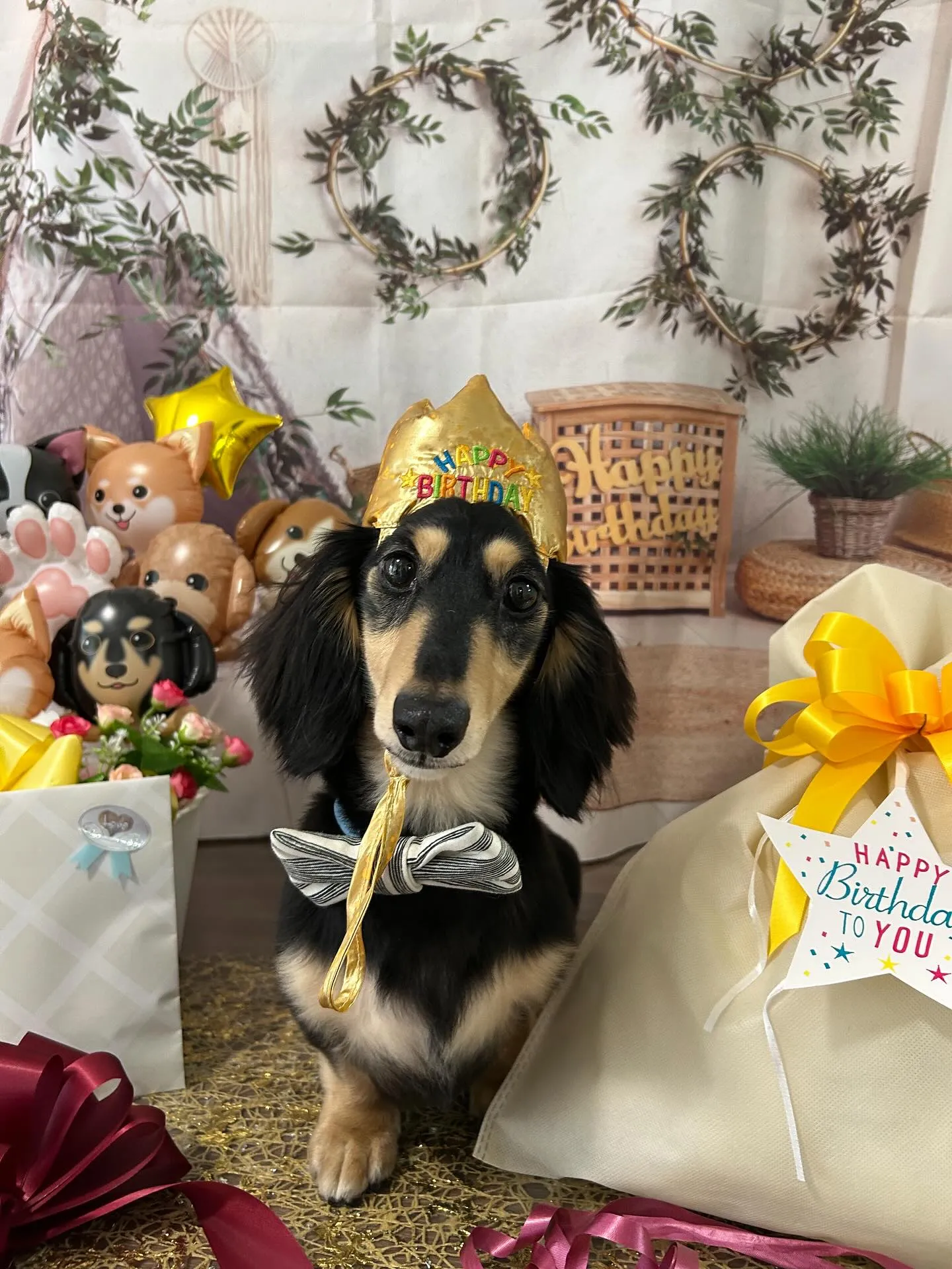 今日はルイくんのお誕生日です🎂✨