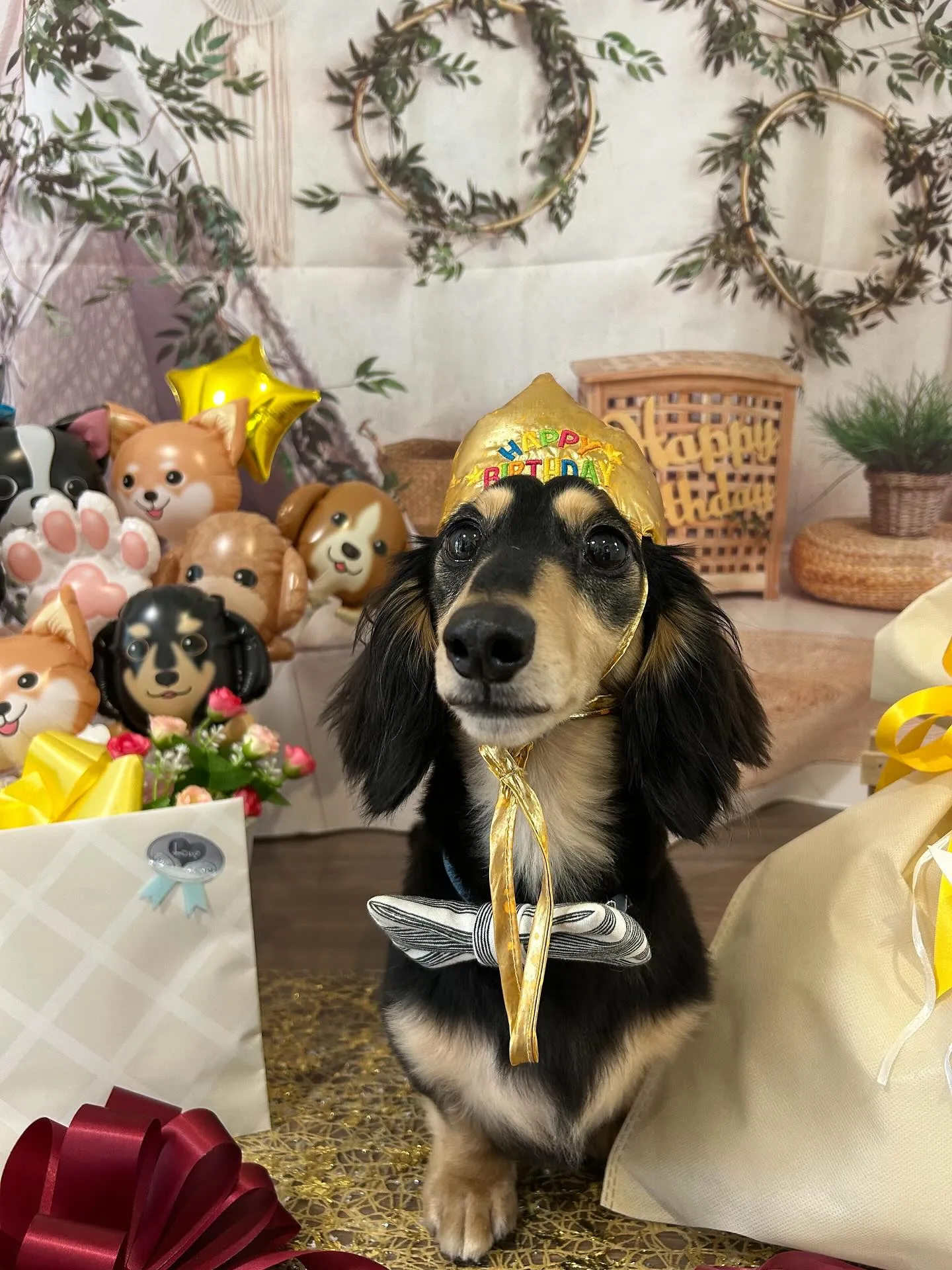 今日はルイくんのお誕生日です🎂✨