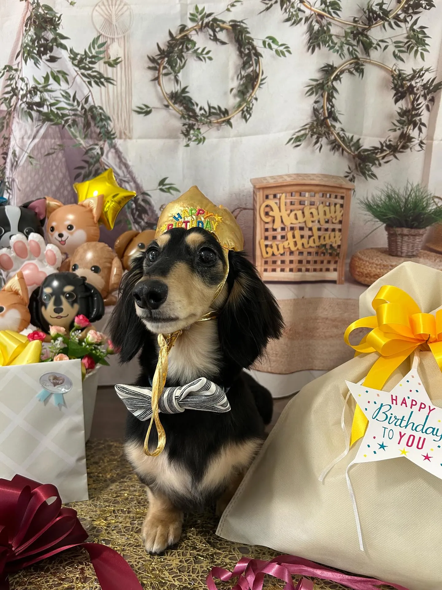 今日はルイくんのお誕生日です🎂✨