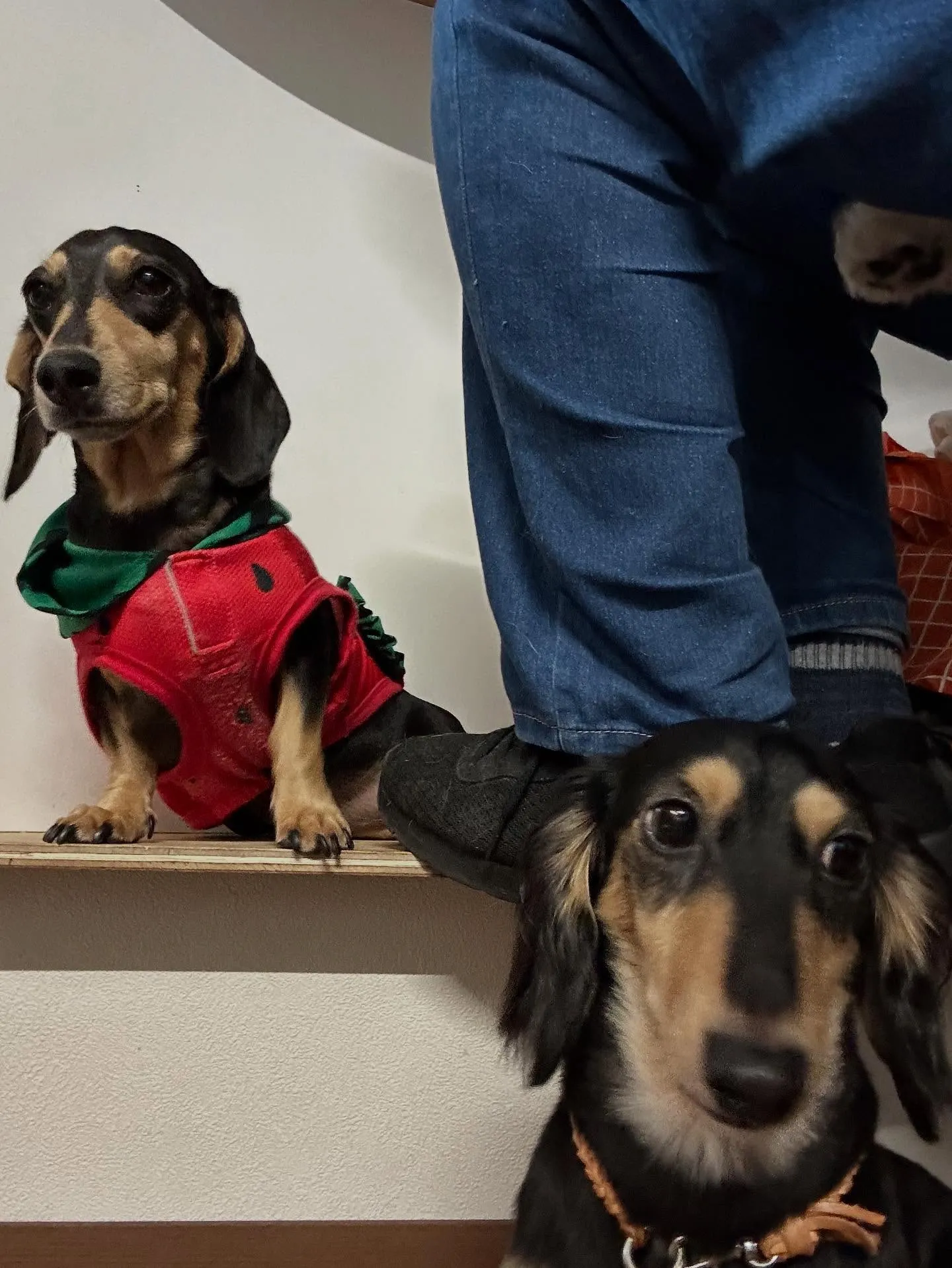 今日はルイくんのお誕生日です🎂✨