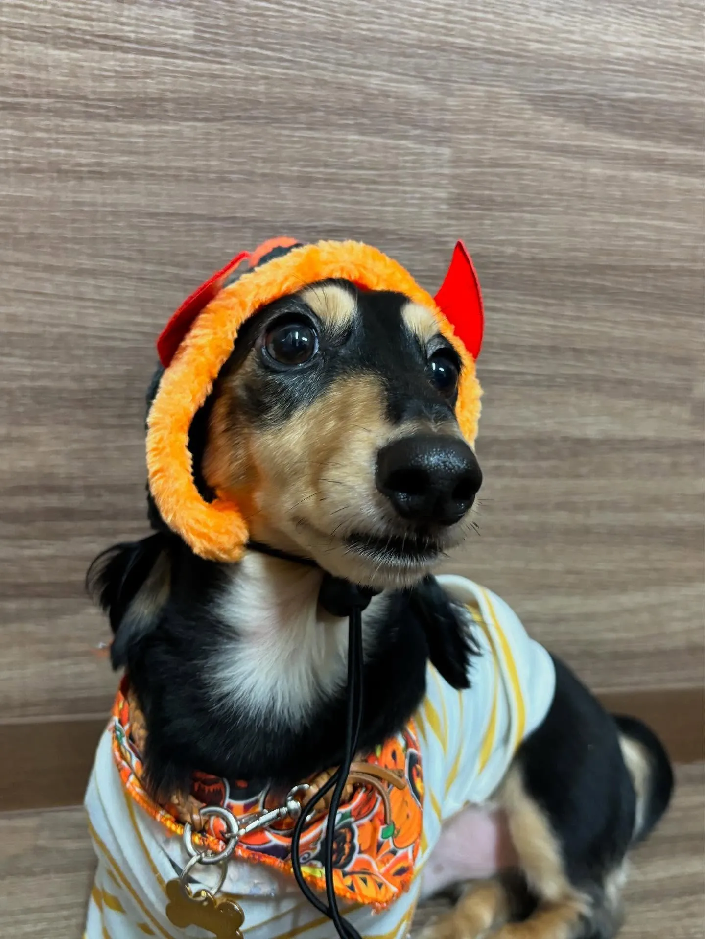 今日はルイくんのお誕生日です🎂✨