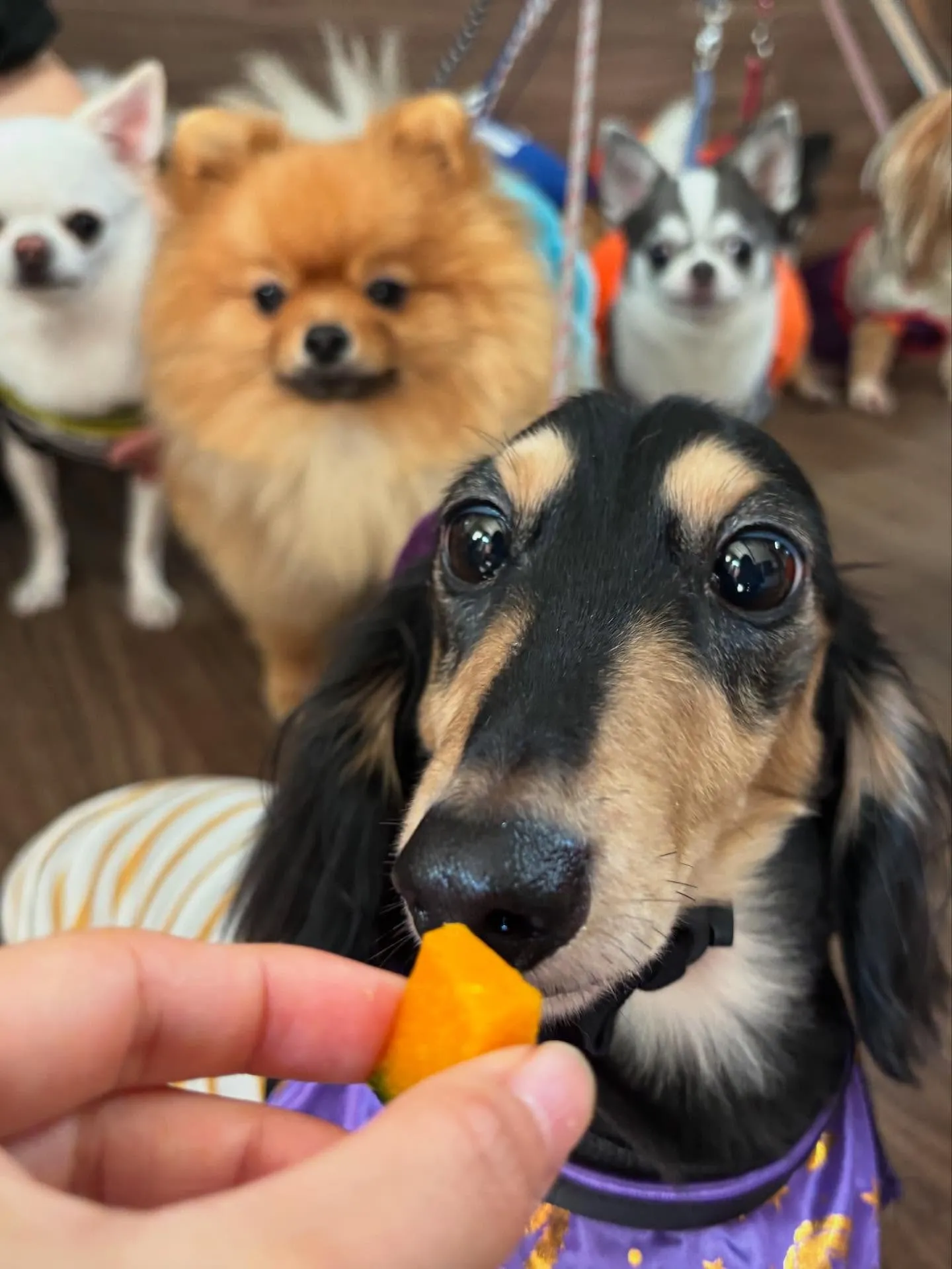 今日はルイくんのお誕生日です🎂✨