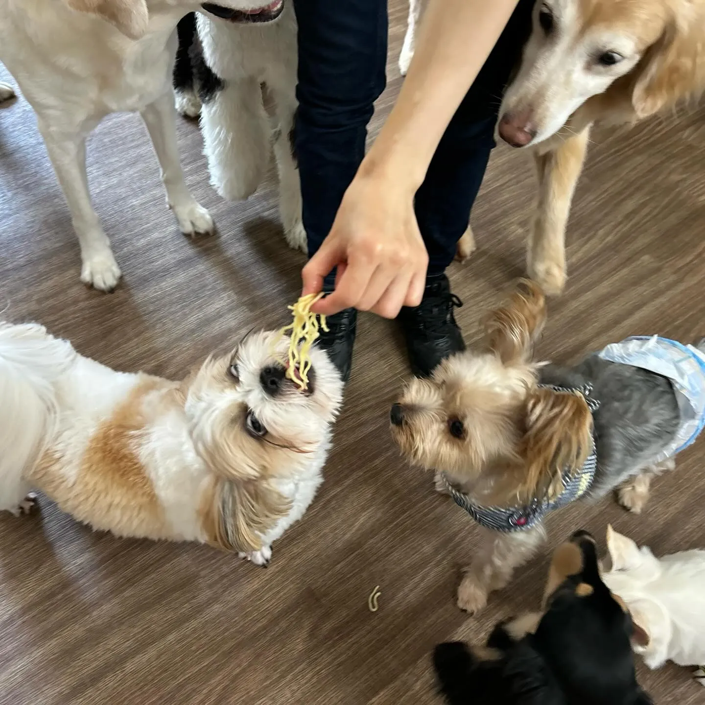 【抽選お出かけイベント応募対象商品】