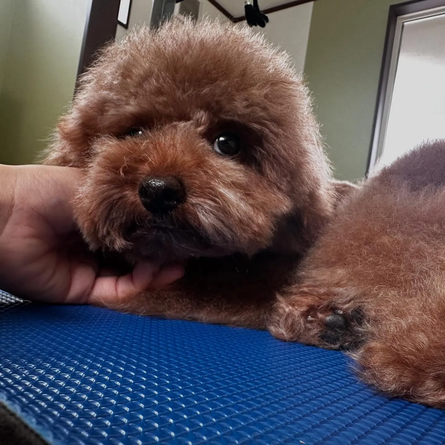 【抽選お出かけイベント応募対象商品】