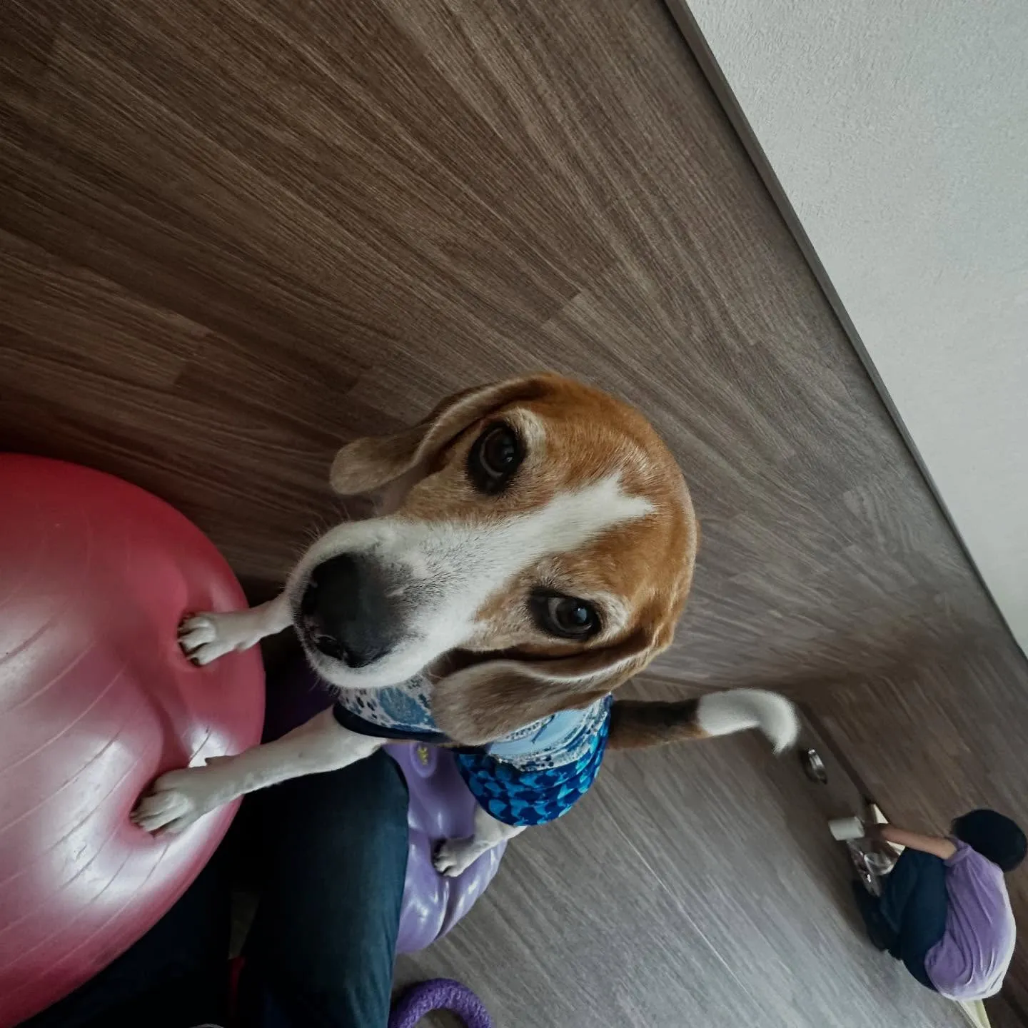 【抽選お出かけイベント応募対象商品】