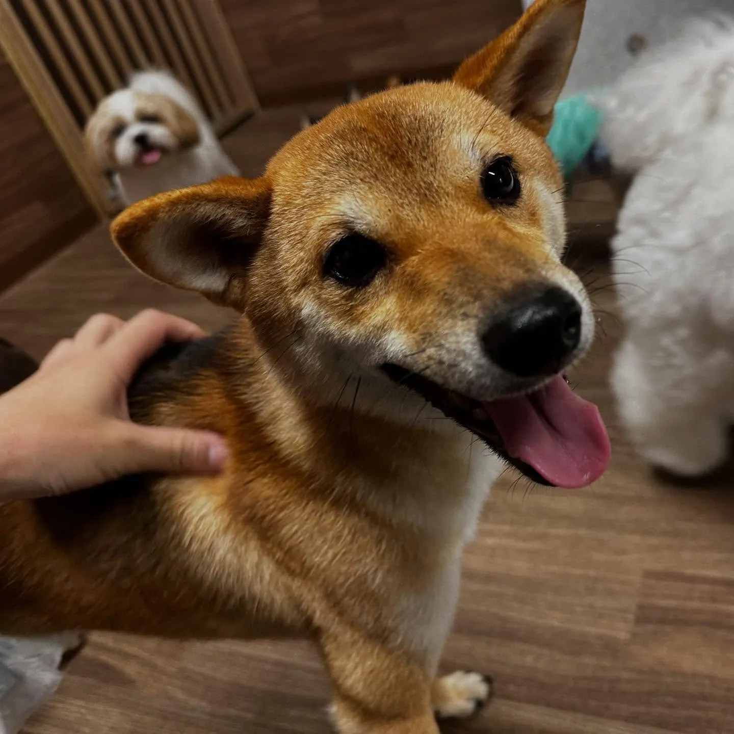 【抽選お出かけイベント応募対象商品】