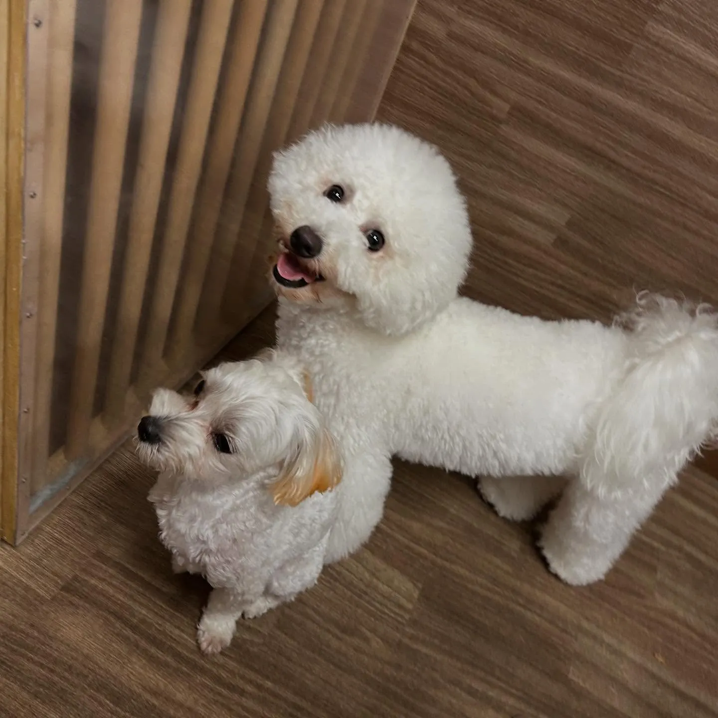 【抽選お出かけイベント応募対象商品】