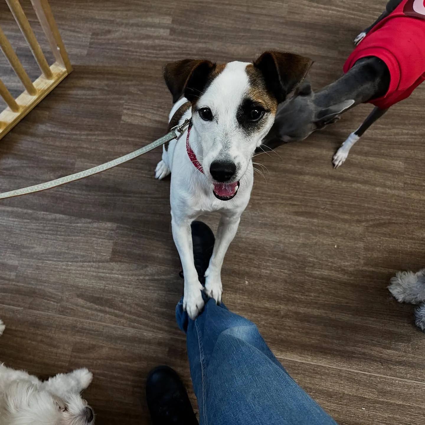 【抽選お出かけイベント応募対象商品】