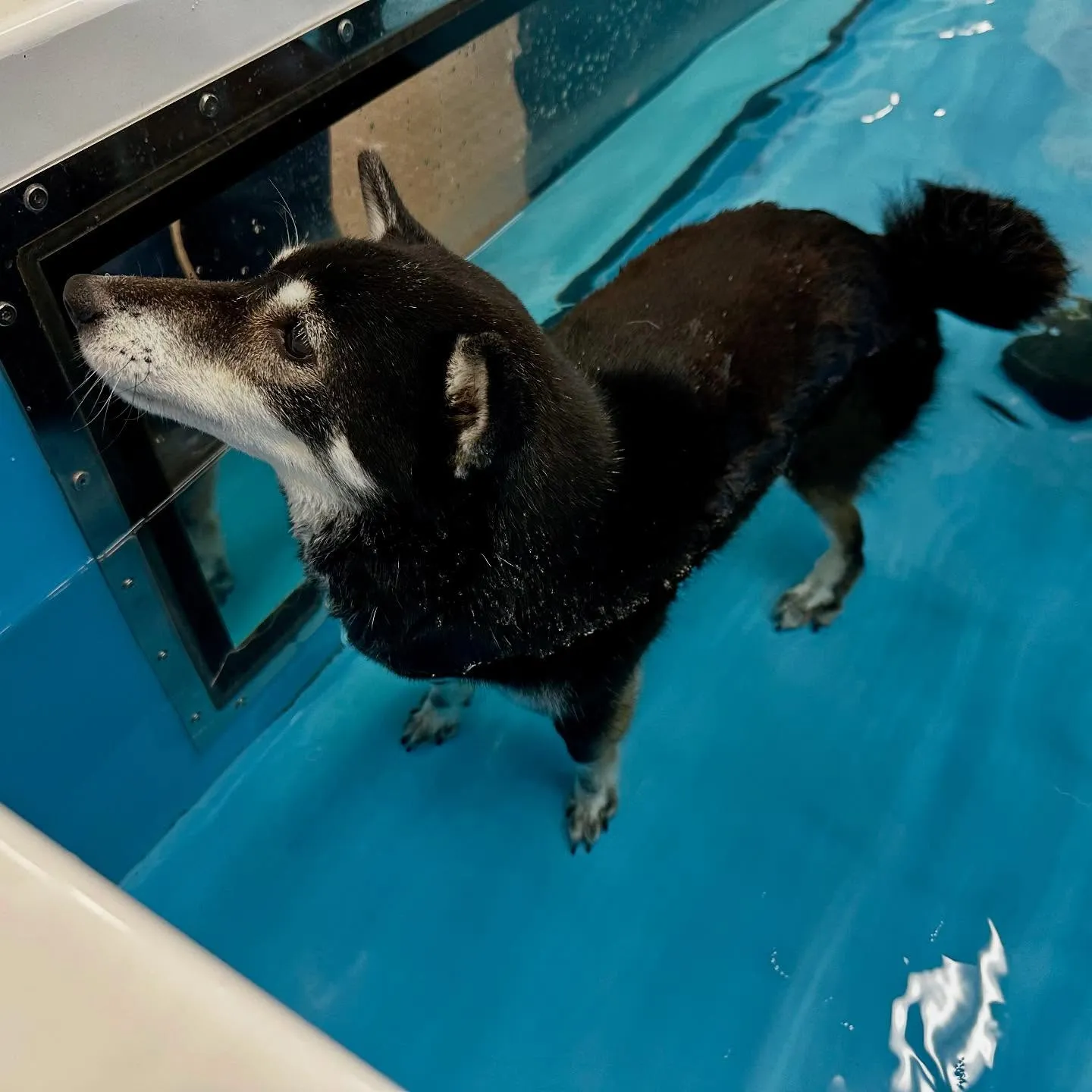 今日は専門学校dayでした🏫