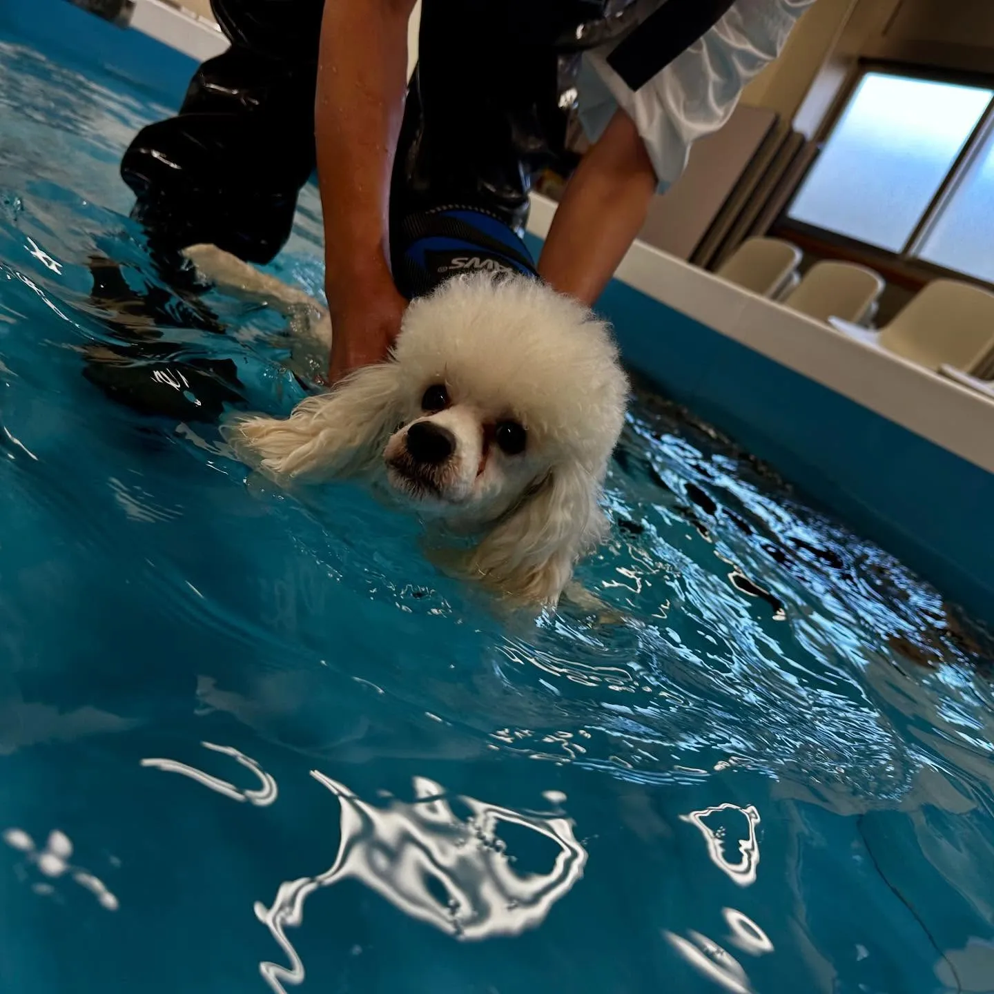 今日は専門学校dayでした🏫