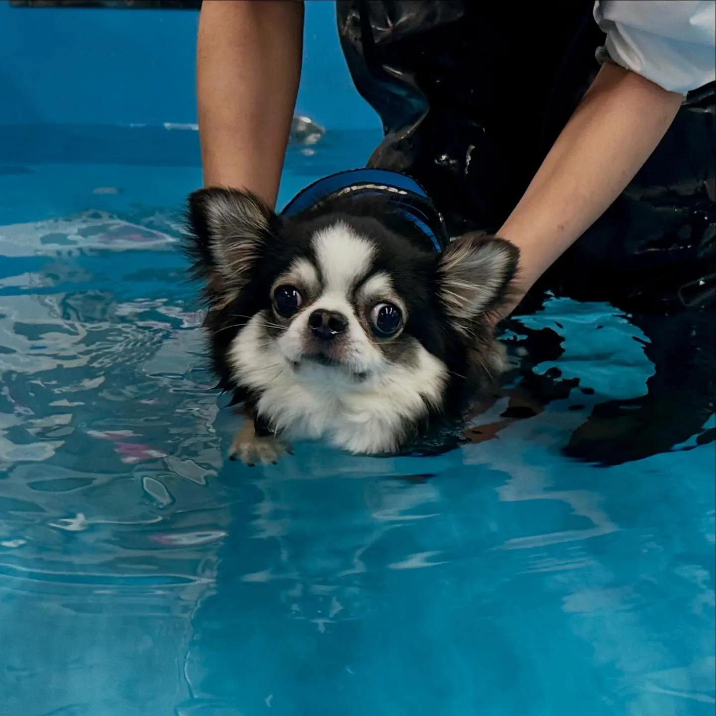 今日は専門学校dayでした🏫