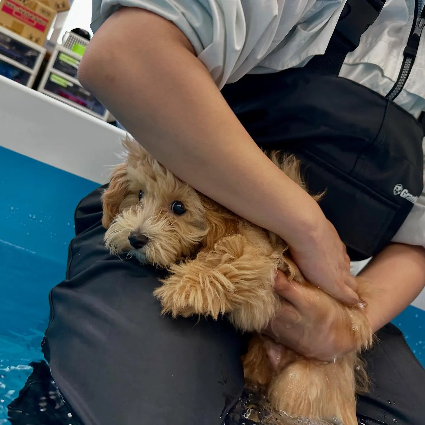 今日は専門学校dayでした🏫