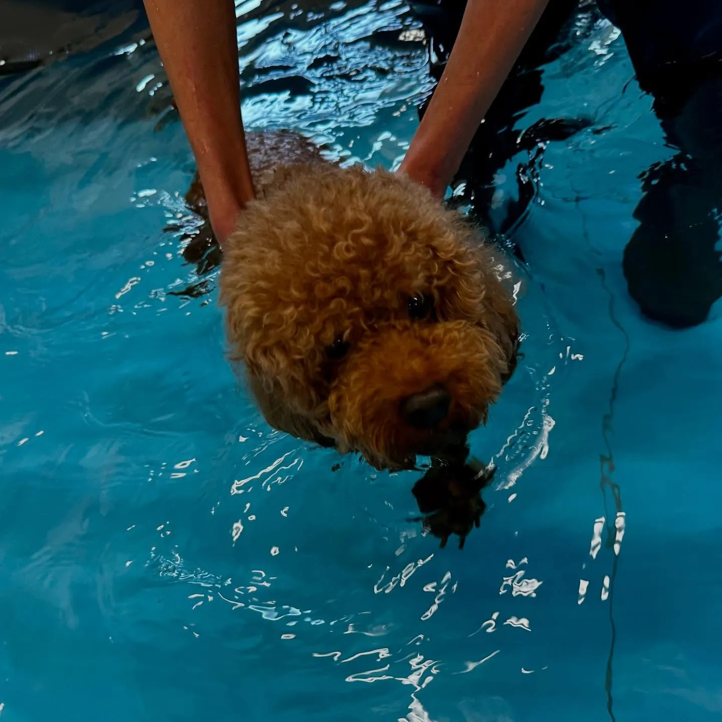 今日は専門学校dayでした🏫