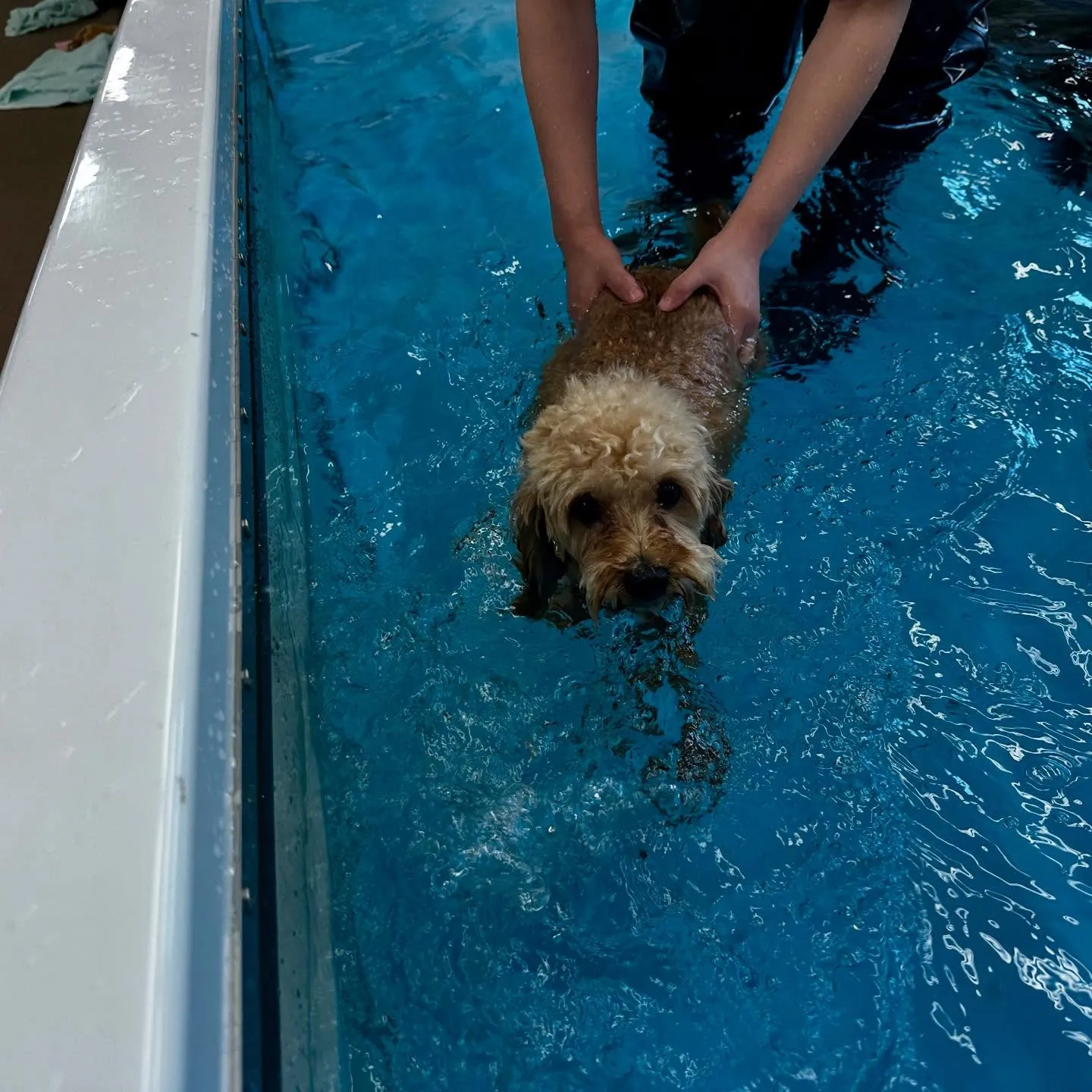 今日は専門学校dayでした🏫