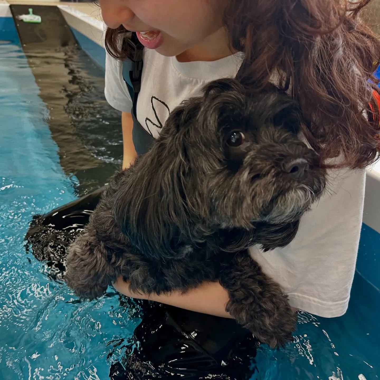 今日は専門学校dayでした🏫