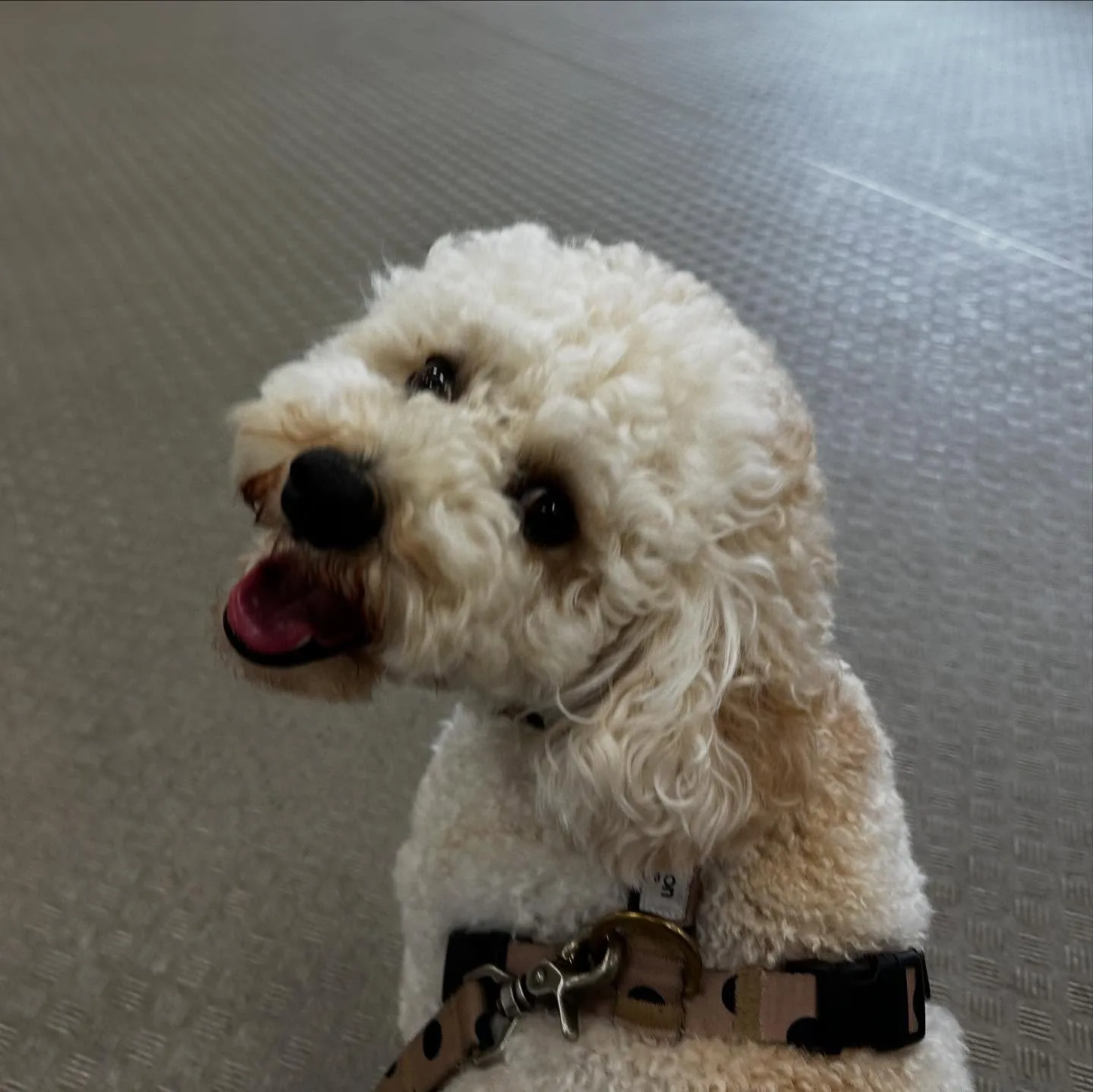 今日は専門学校dayでした🏫