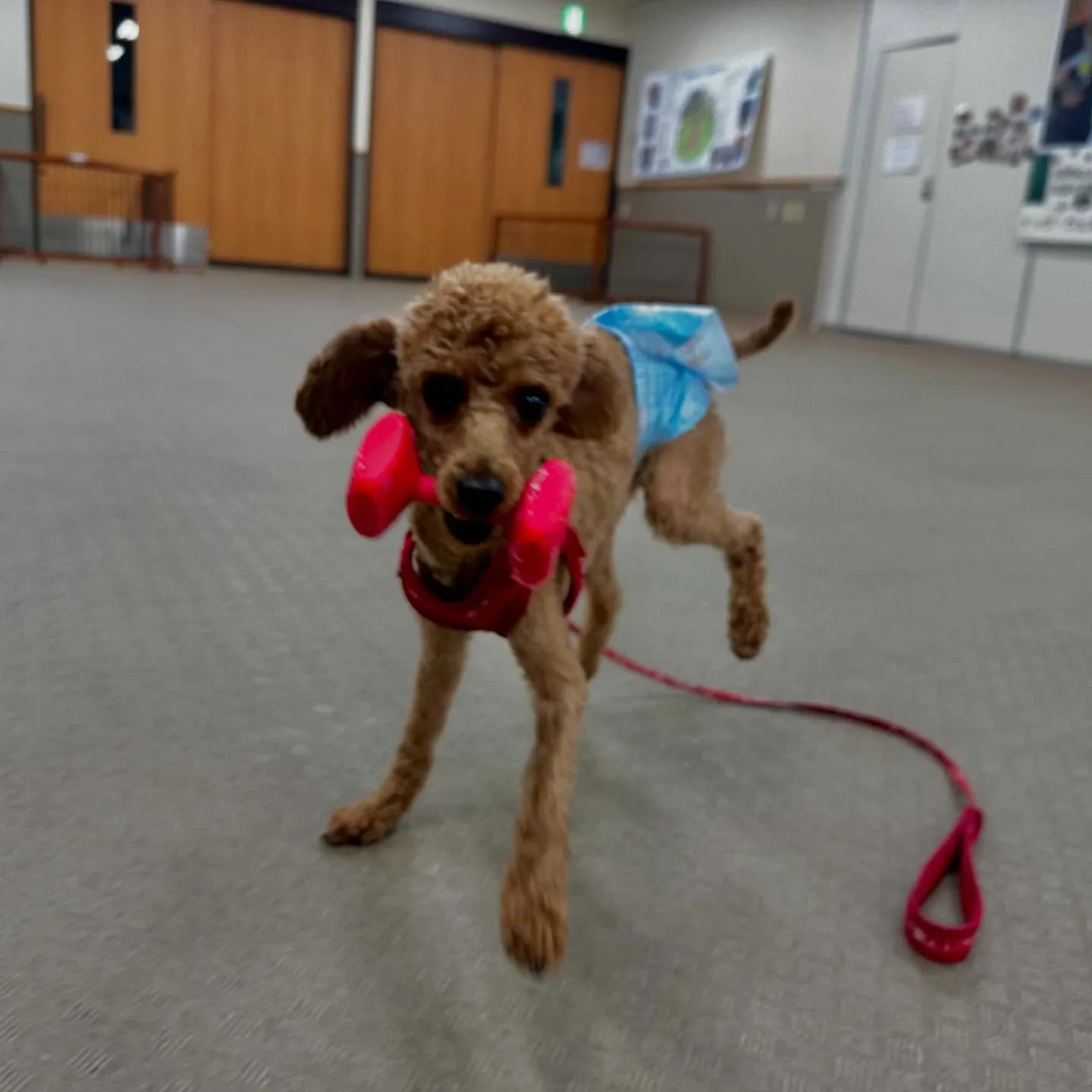 今日は専門学校dayでした🏫