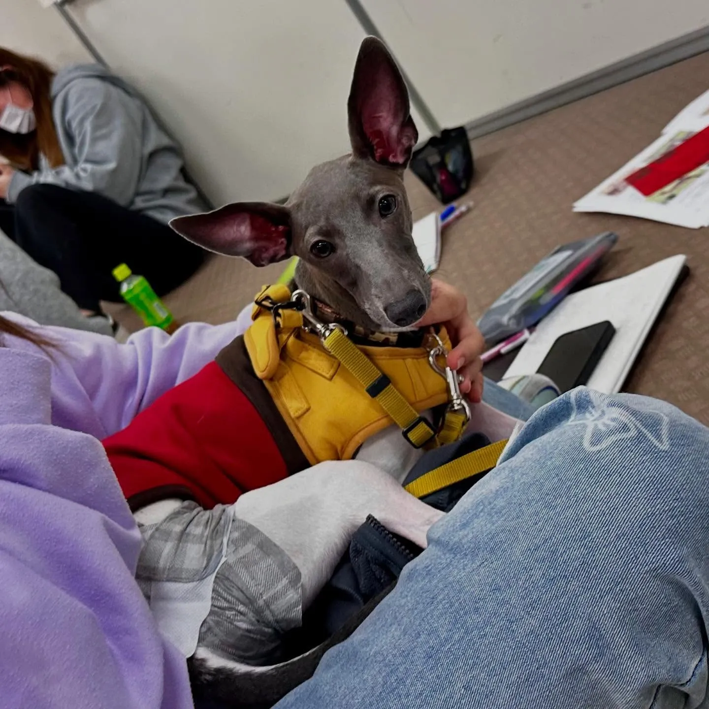 今日は専門学校dayでした🏫