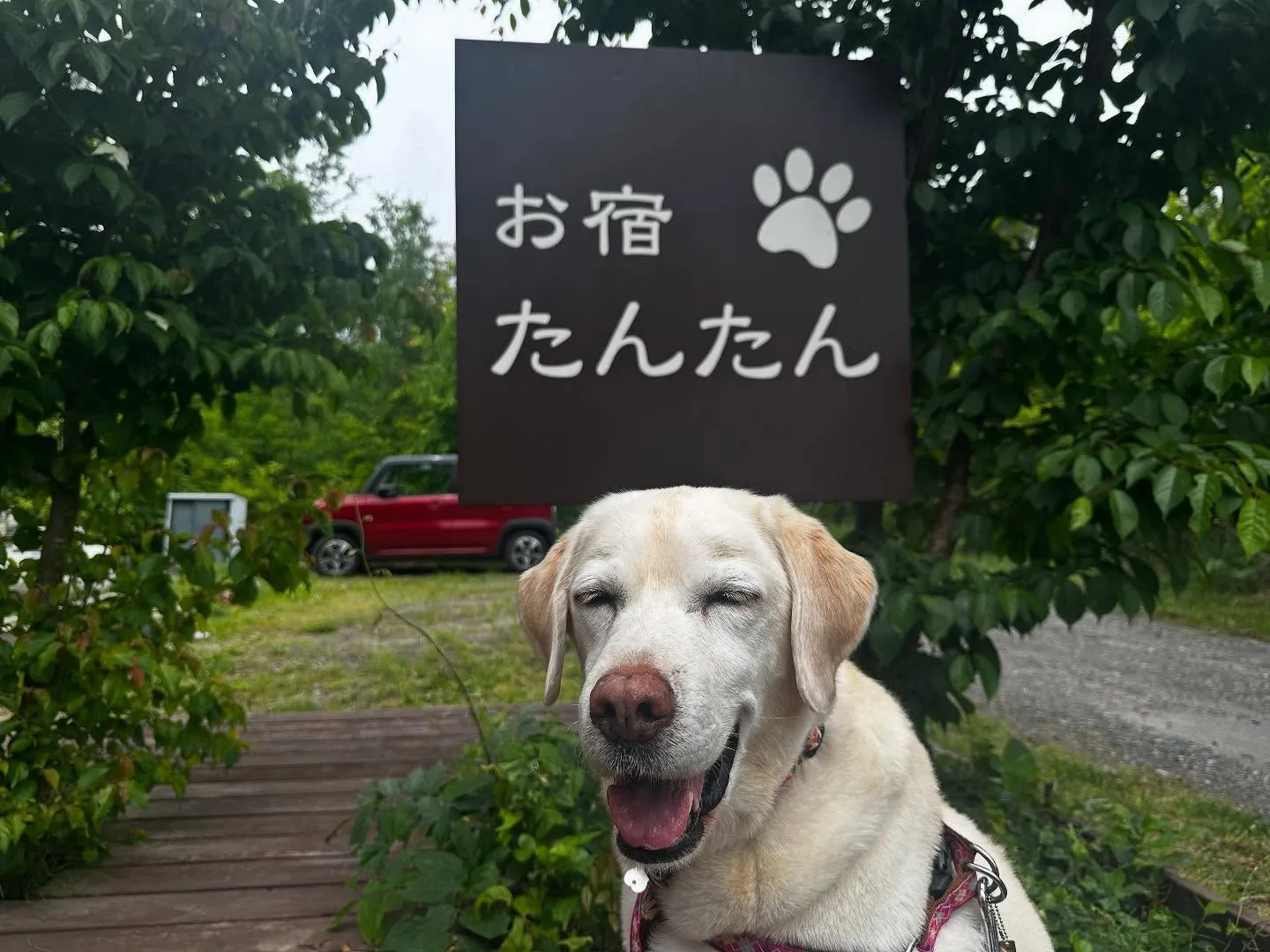 【長野旅行レポその4】です❣️