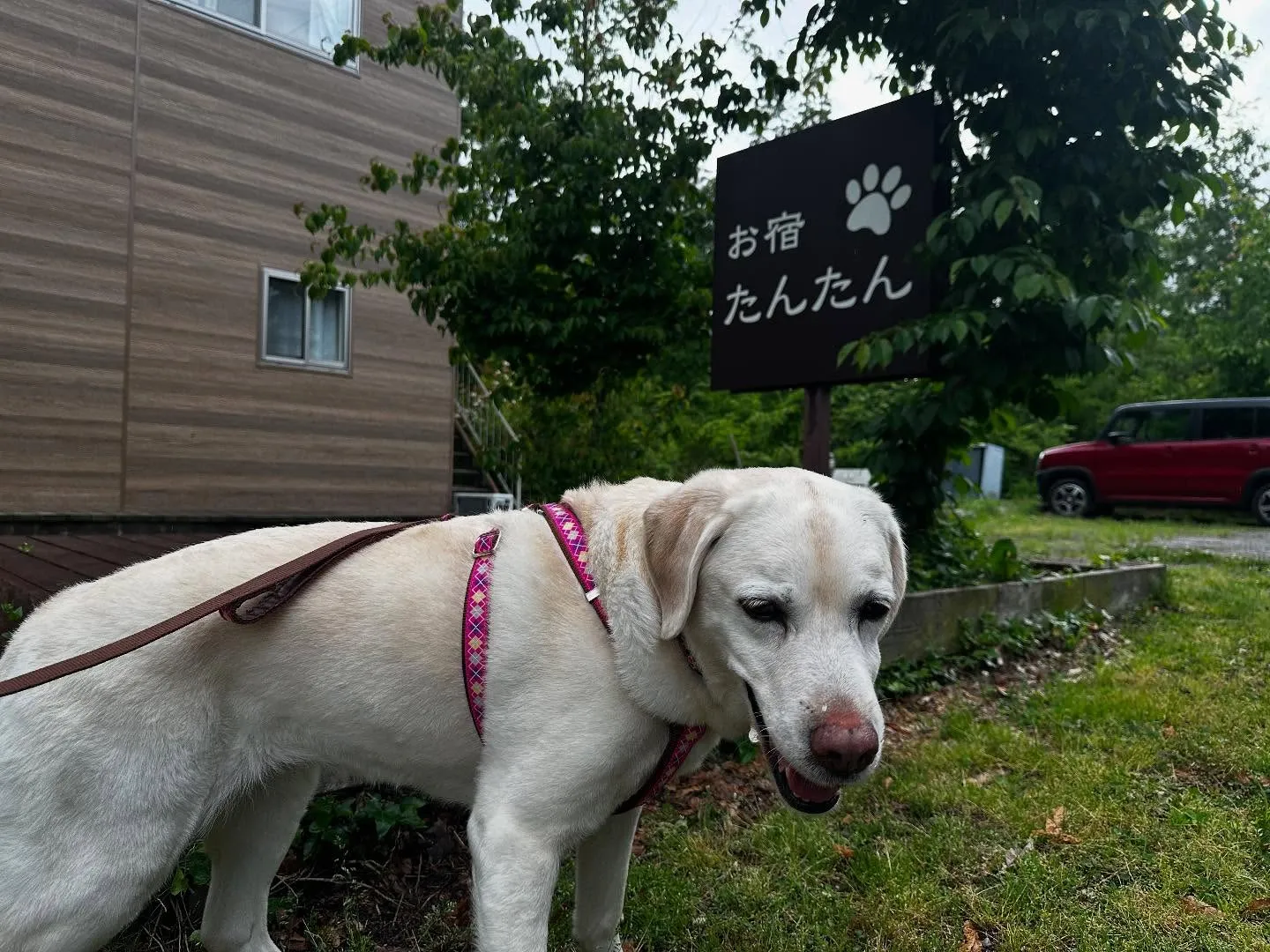 【長野旅行レポその4】です❣️