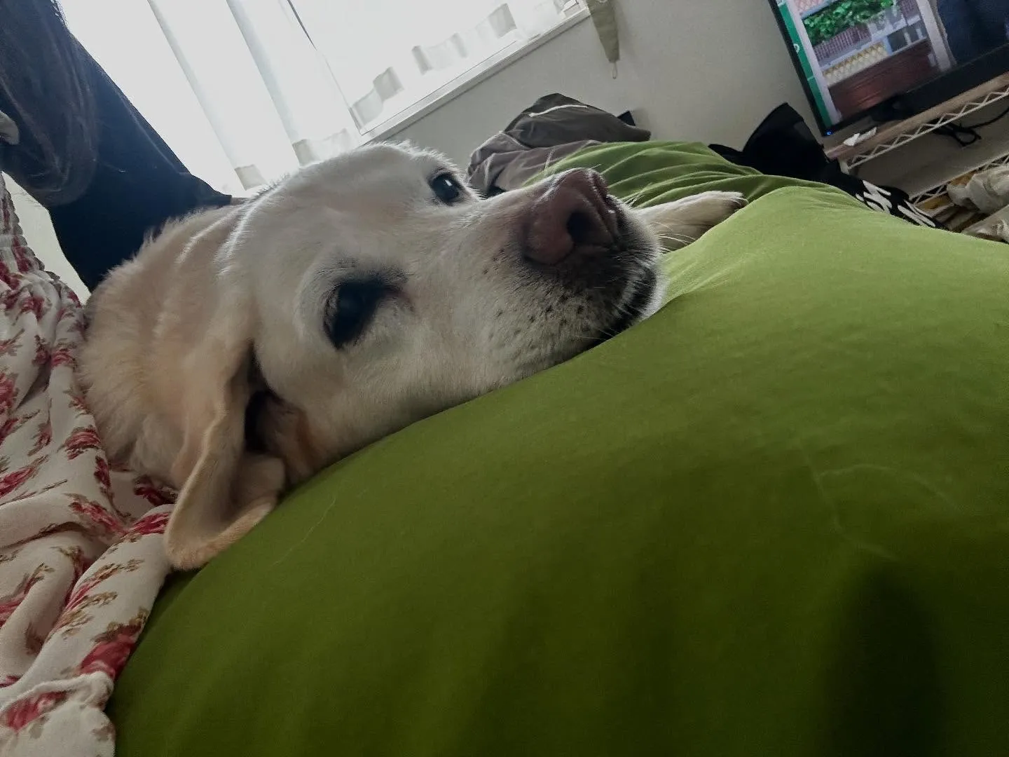 【長野旅行レポその4】です❣️