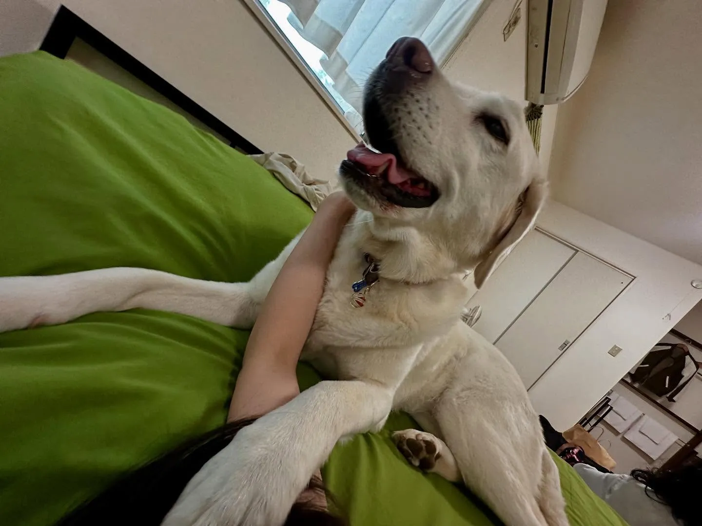 【長野旅行レポその4】です❣️