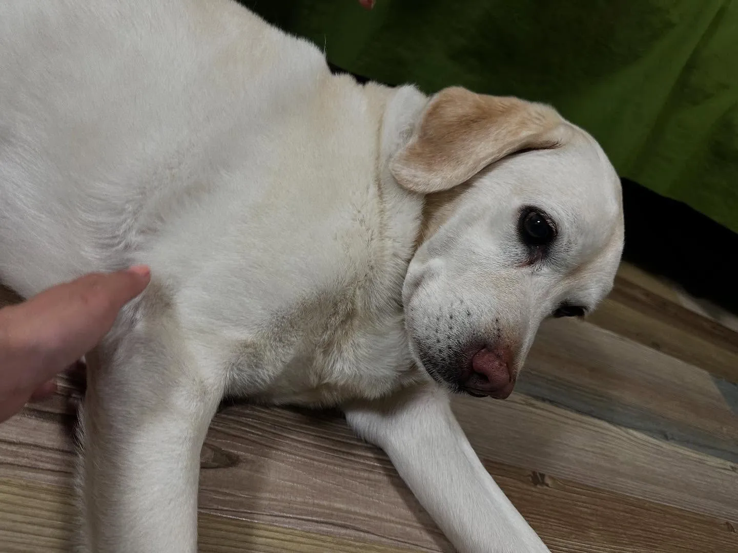 【長野旅行レポその4】です❣️