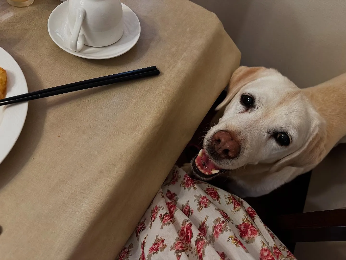 【長野旅行レポその4】です❣️