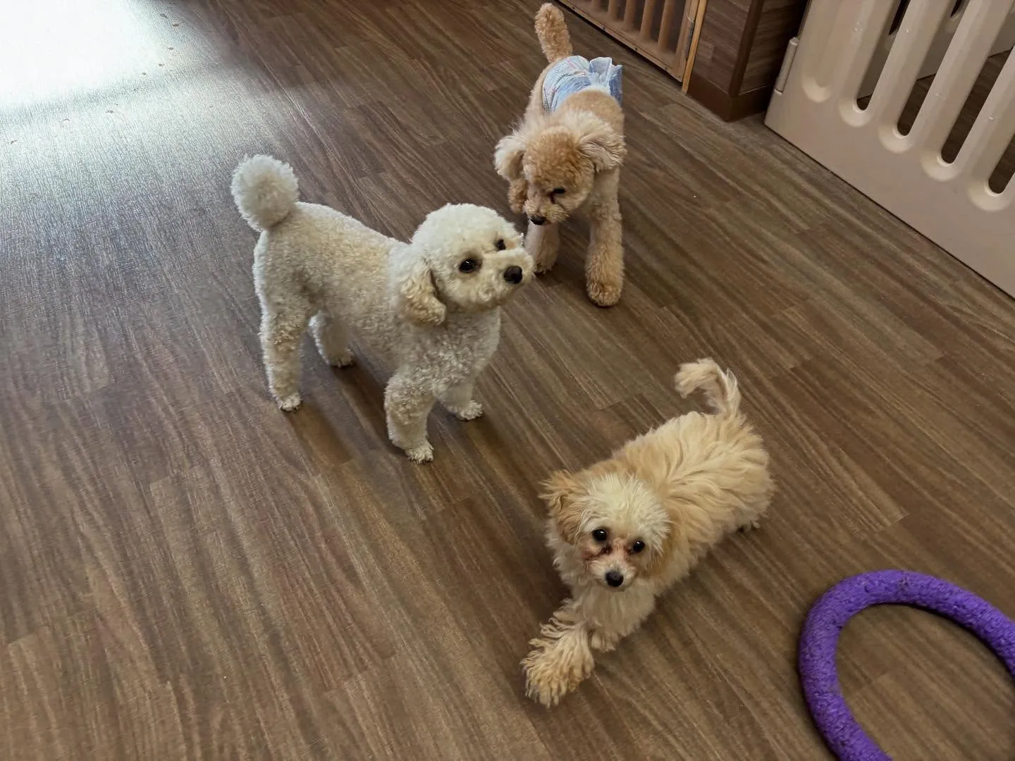 明日で抽選おでかけイベントの応募締切となります✨️