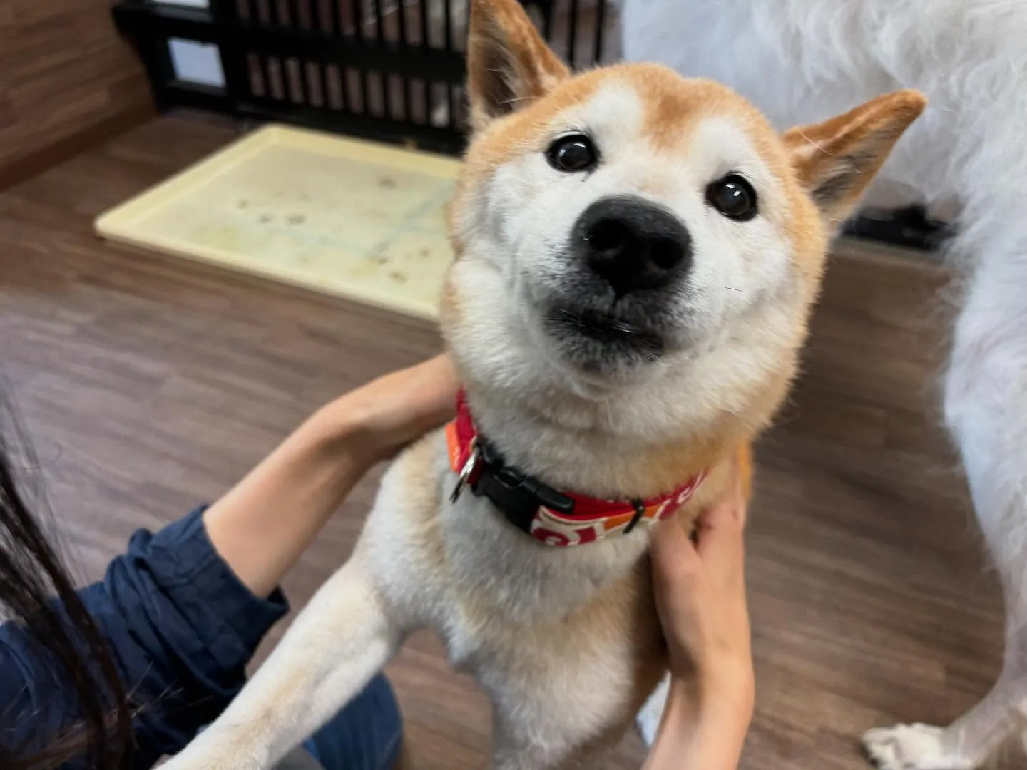 明日で抽選おでかけイベントの応募締切となります✨️