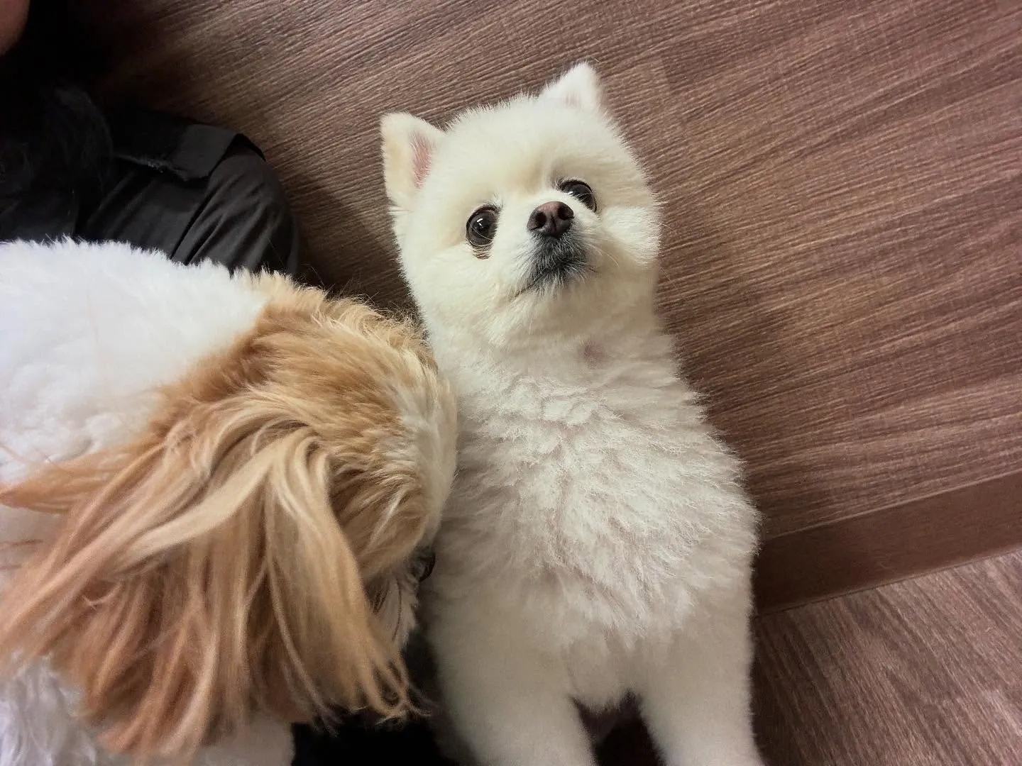 明日で抽選おでかけイベントの応募締切となります✨️