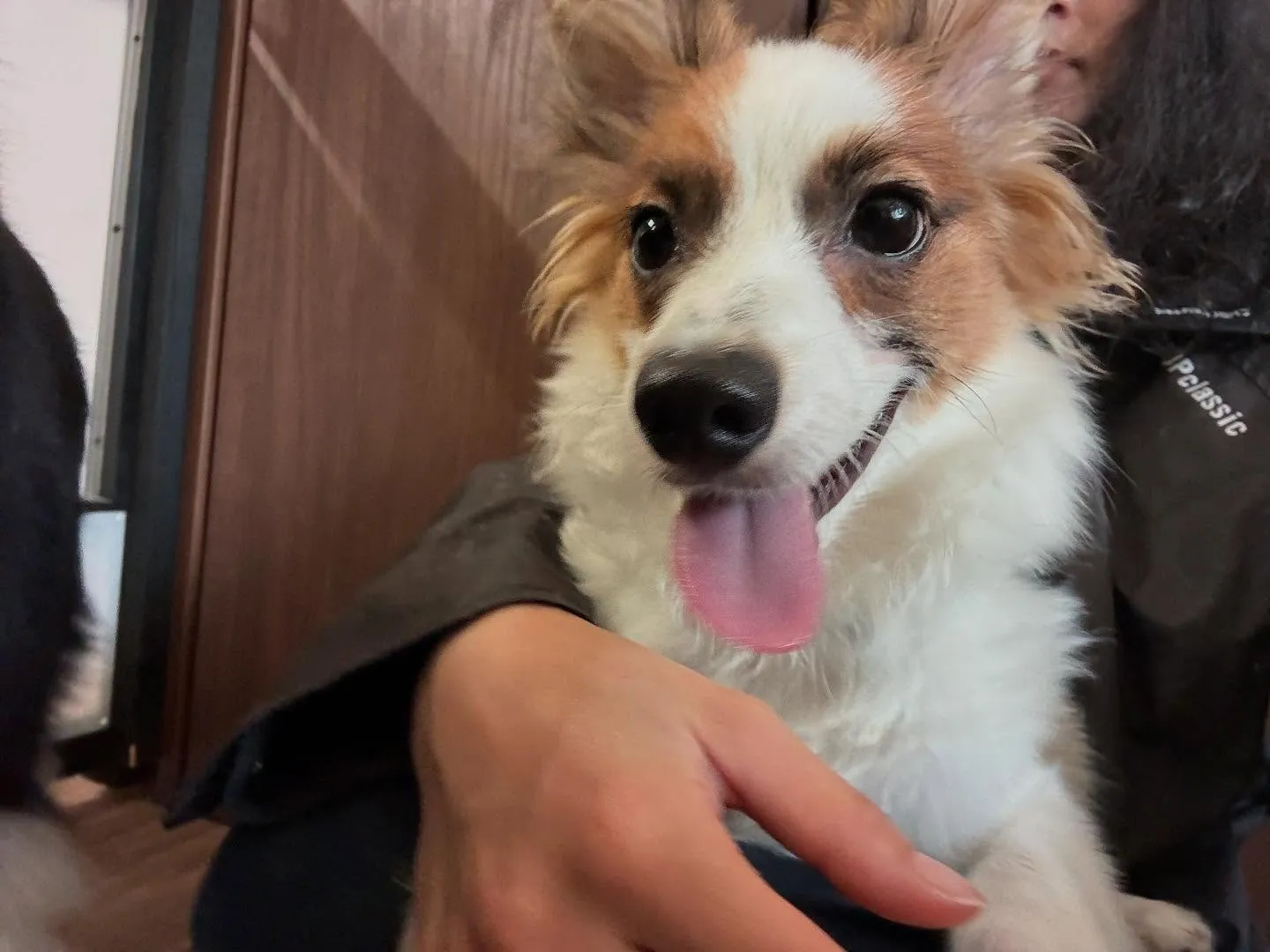 明日で抽選おでかけイベントの応募締切となります✨️