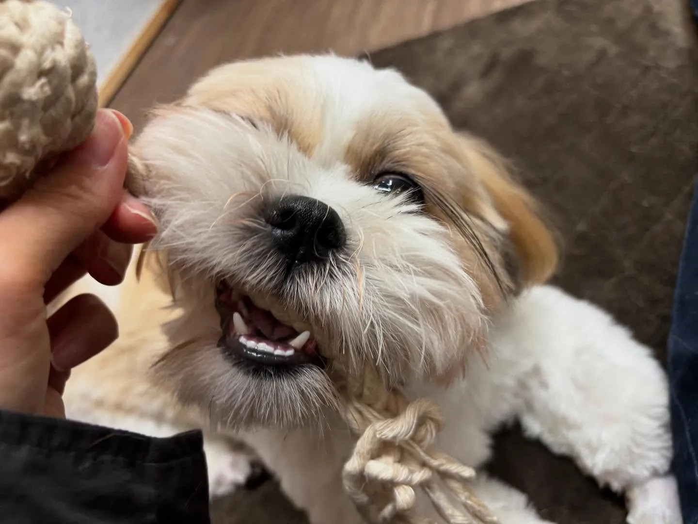 明日で抽選おでかけイベントの応募締切となります✨️
