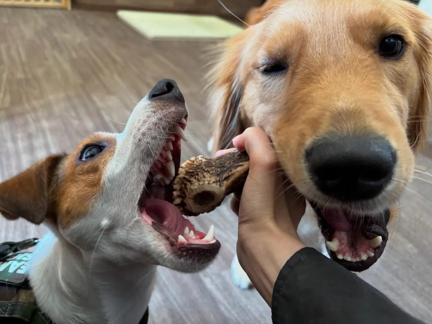 明日で抽選おでかけイベントの応募締切となります✨️