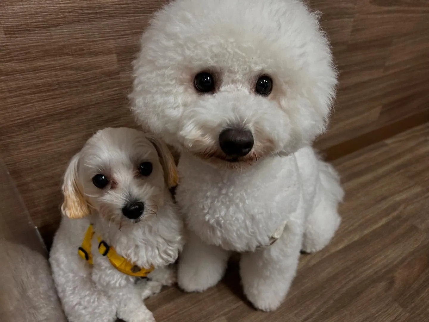 明日で抽選おでかけイベントの応募締切となります✨️