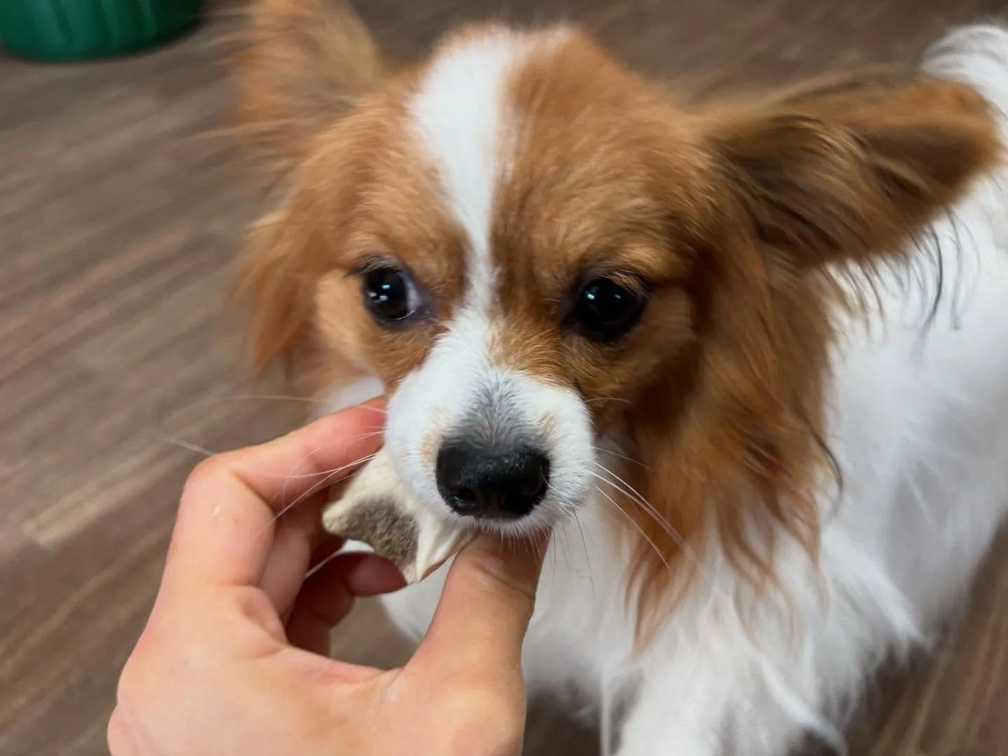 ☀️7月のオススメ商品☀️