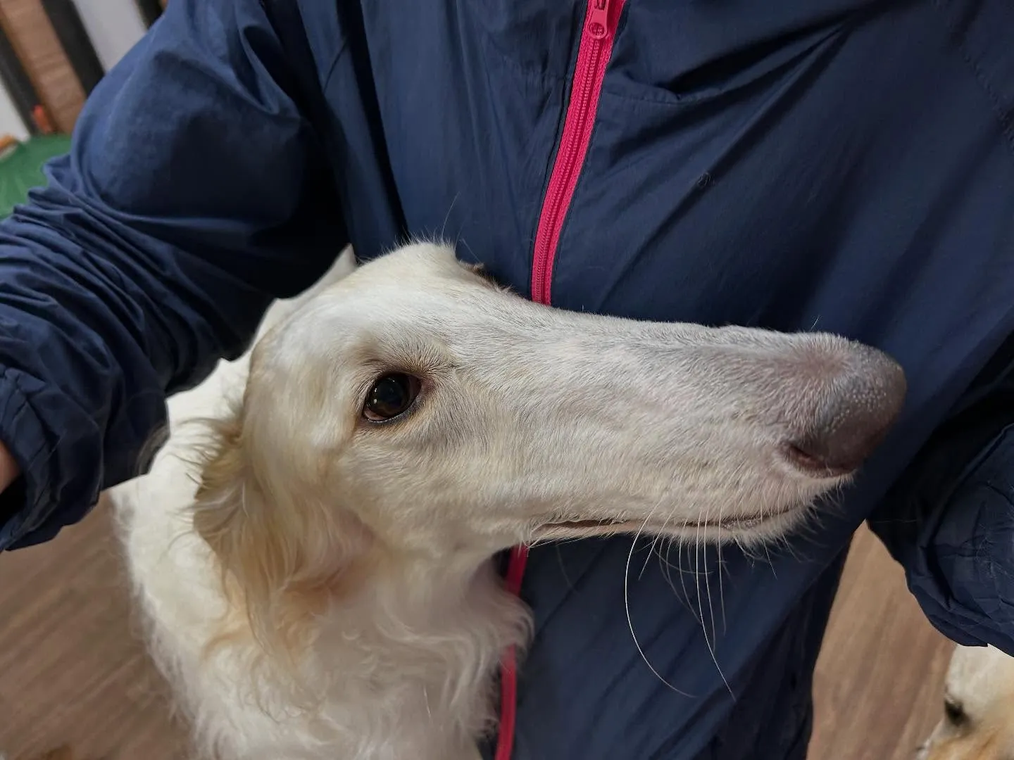 ☀️7月のオススメ商品☀️