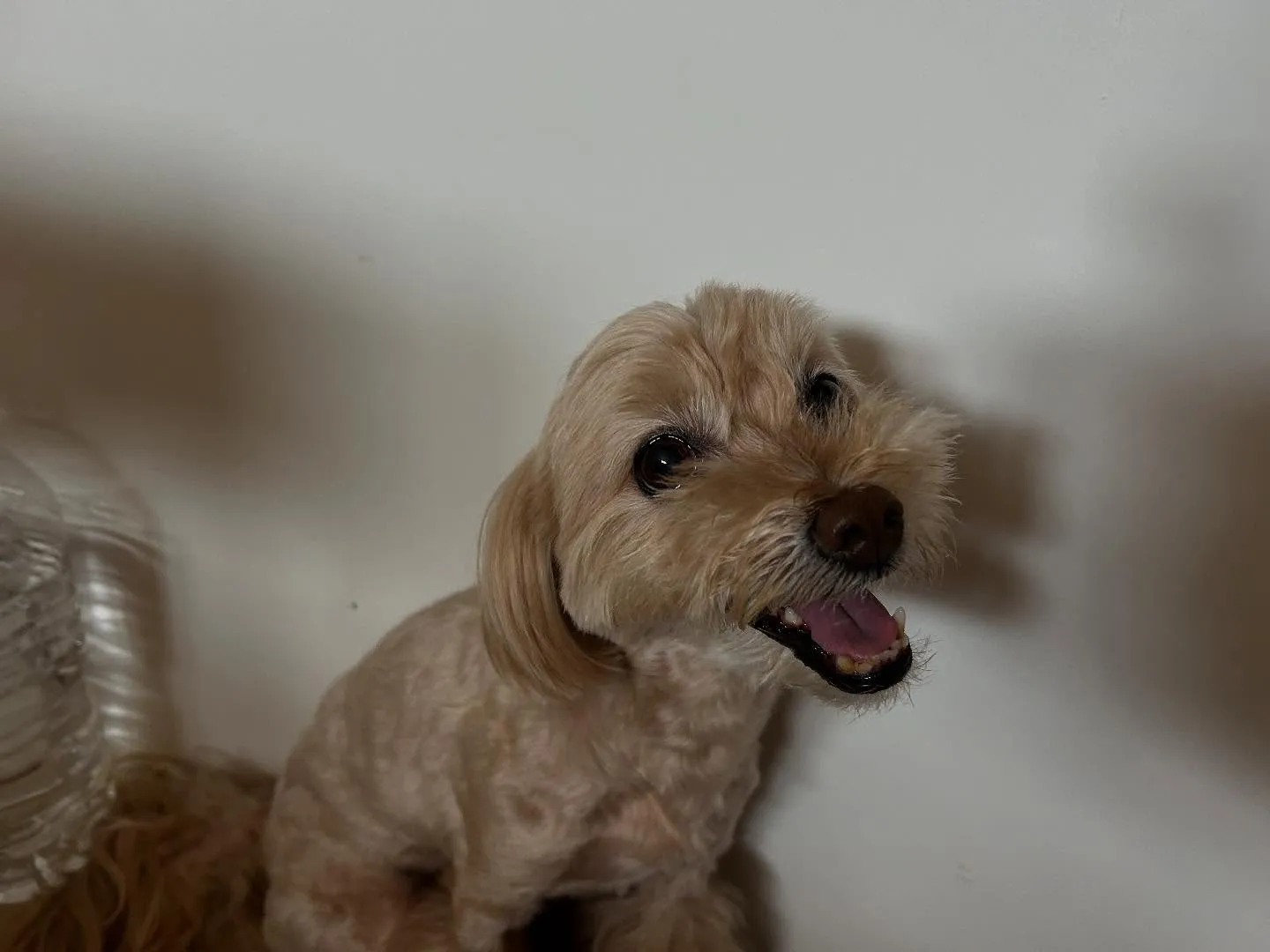 ☀️7月のオススメ商品☀️