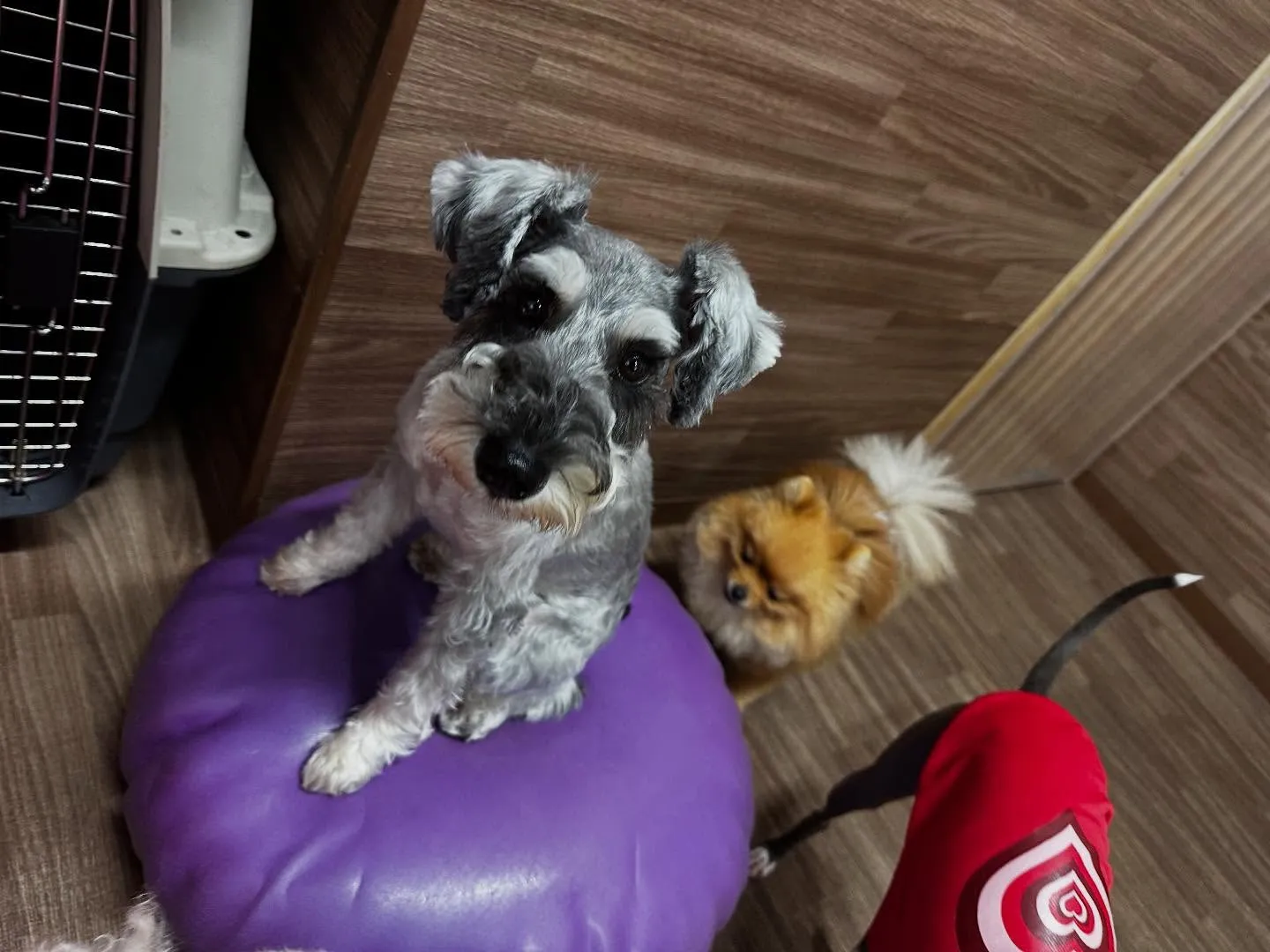 ☀️7月のオススメ商品☀️