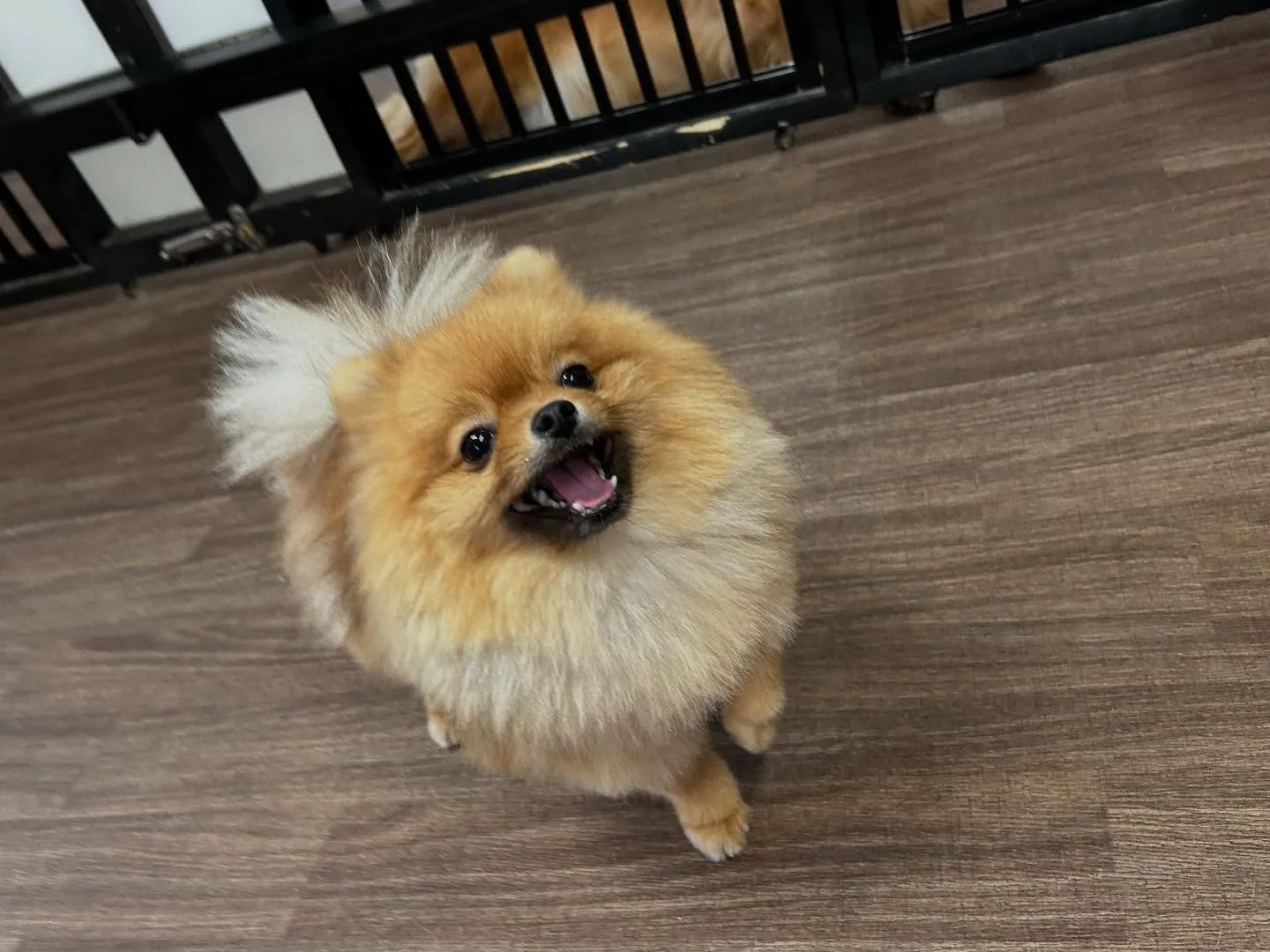 ☀️7月のオススメ商品☀️