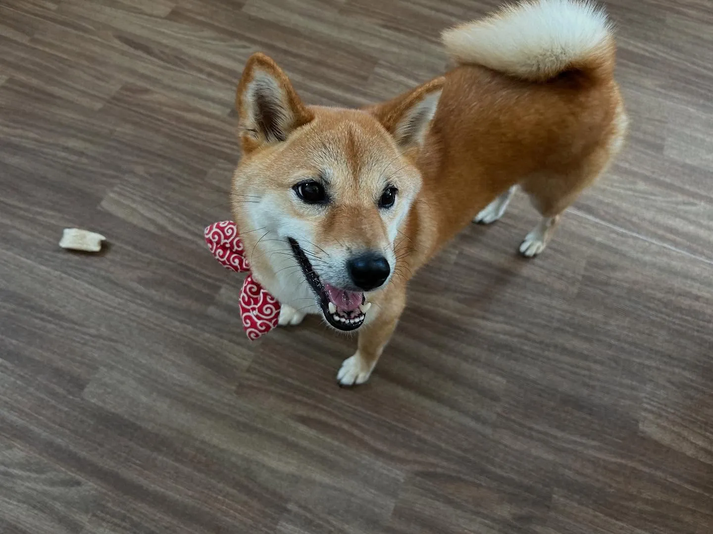 ☀️7月のオススメ商品☀️