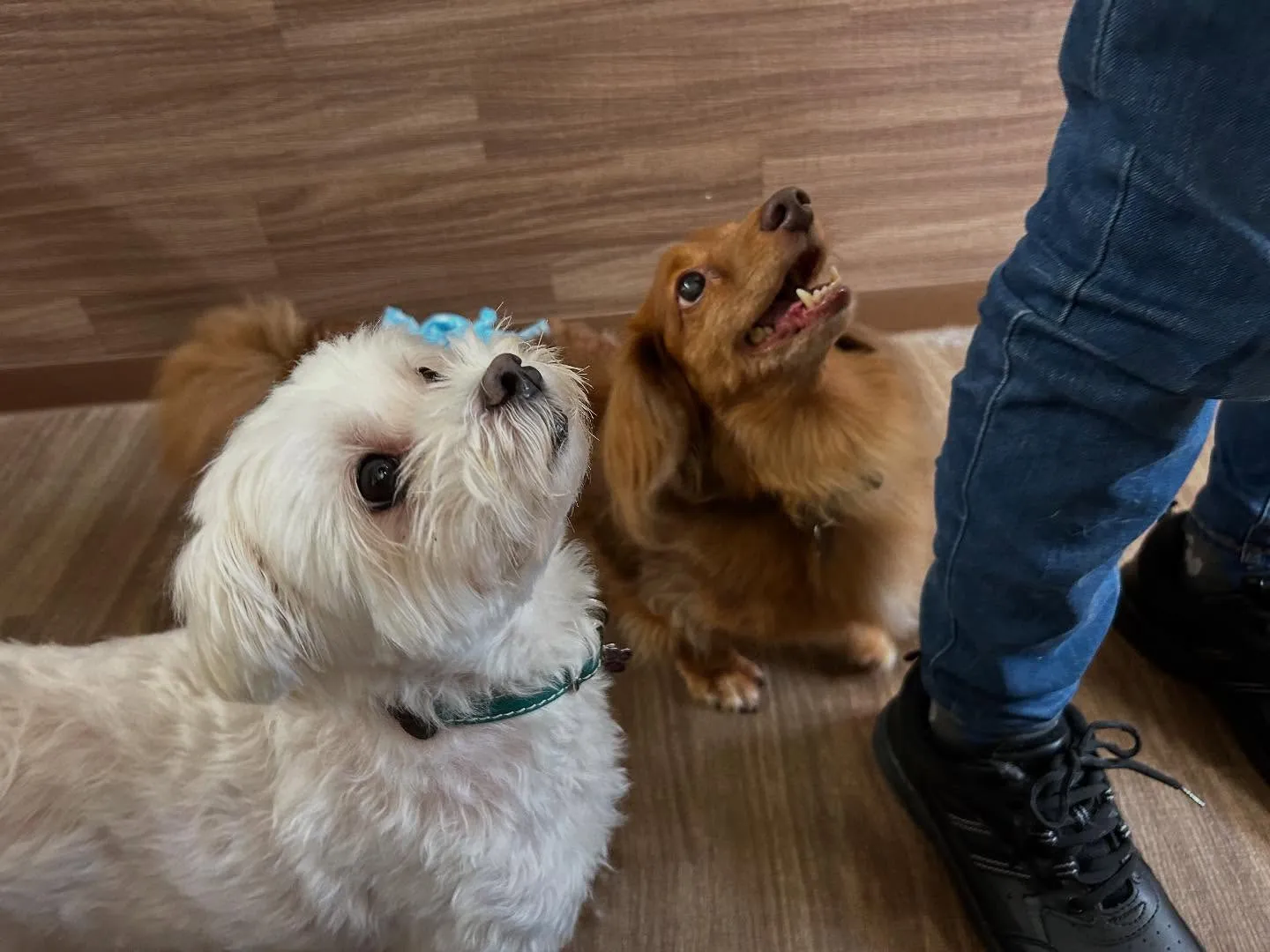 ☀️7月のオススメ商品☀️