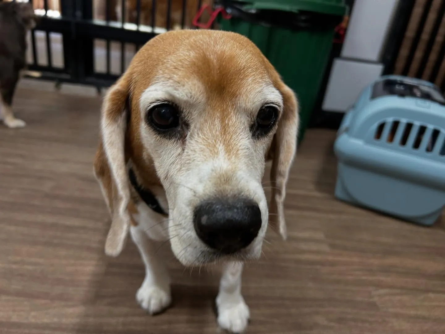 ☀️7月のオススメ商品☀️