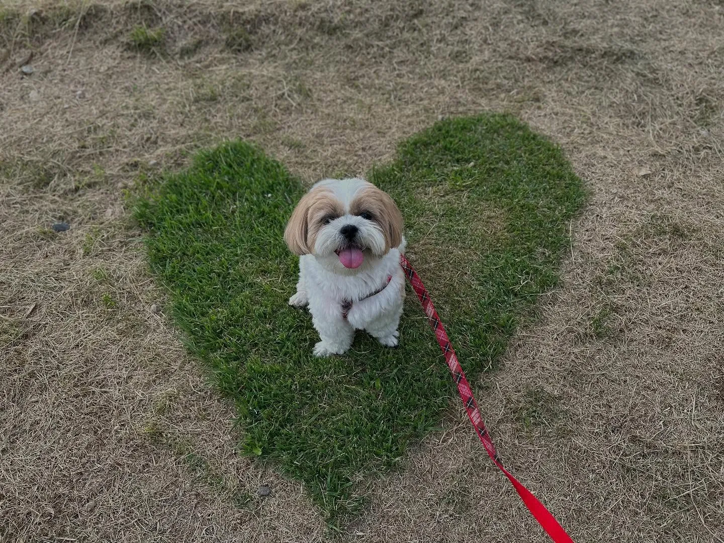 昨日は抽選おでかけイベントの開催日🐾