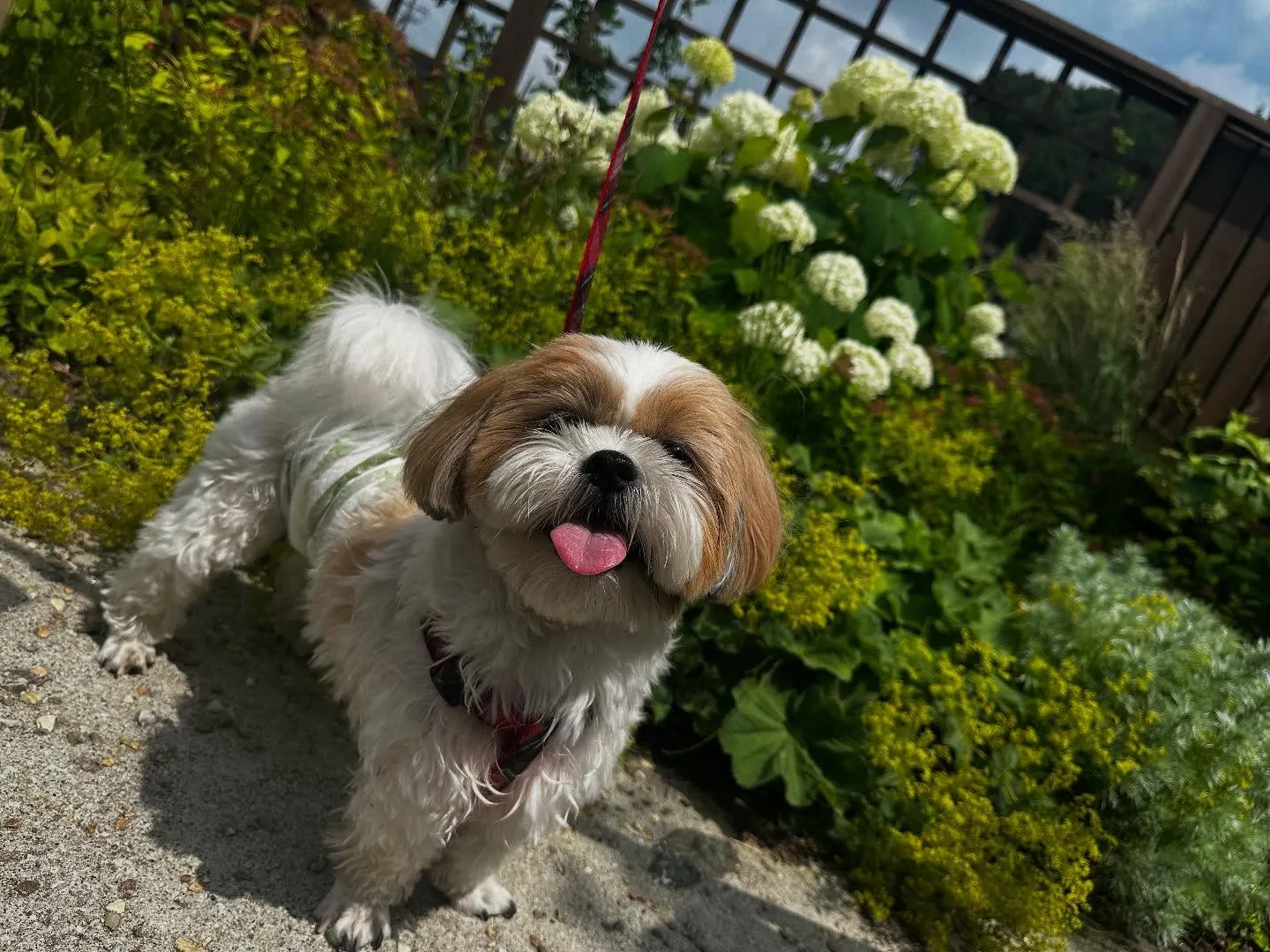 昨日は抽選おでかけイベントの開催日🐾