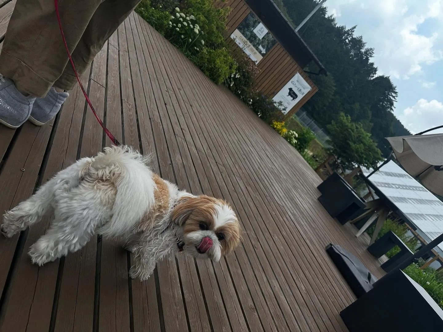 昨日は抽選おでかけイベントの開催日🐾